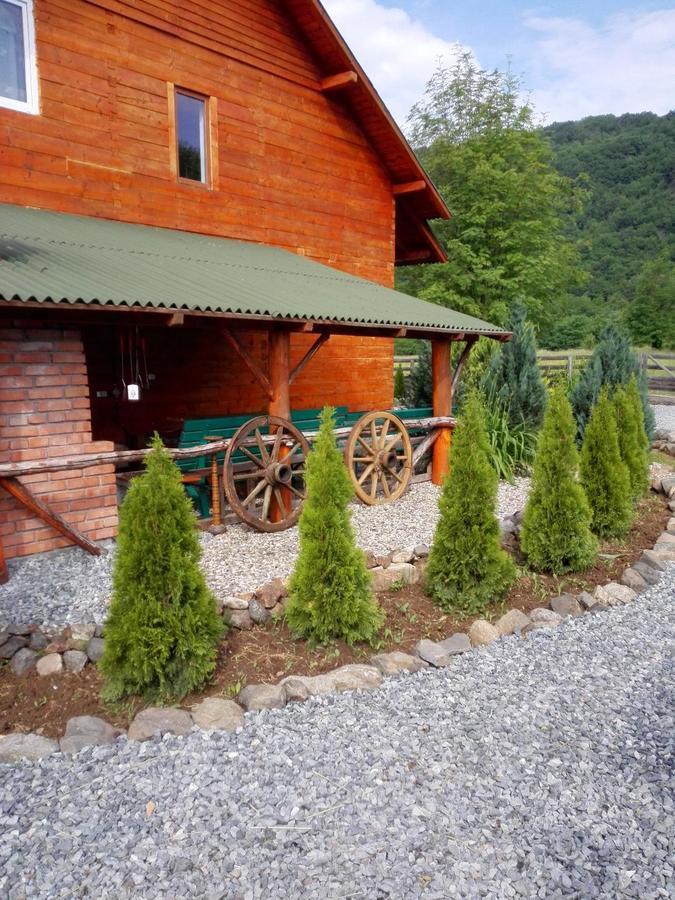הוילה Moldoveneşti The Wooden House מראה חיצוני תמונה