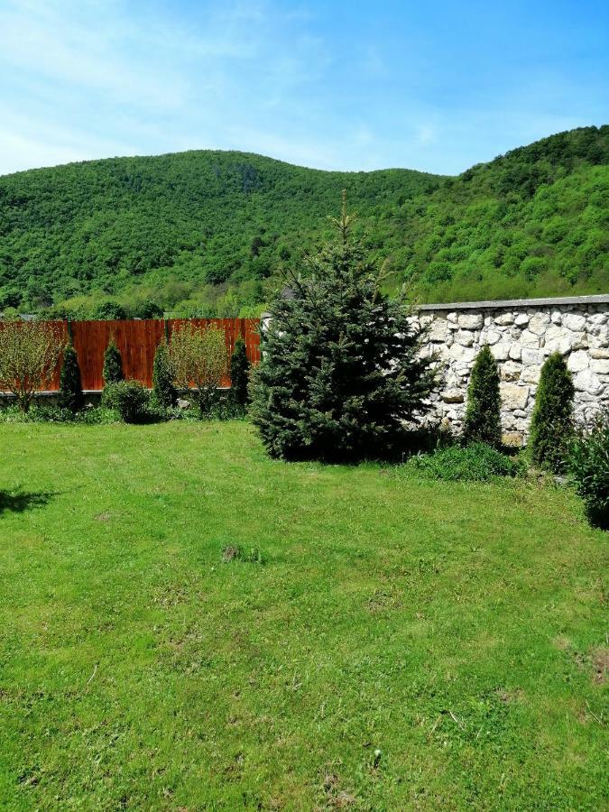 הוילה Moldoveneşti The Wooden House מראה חיצוני תמונה